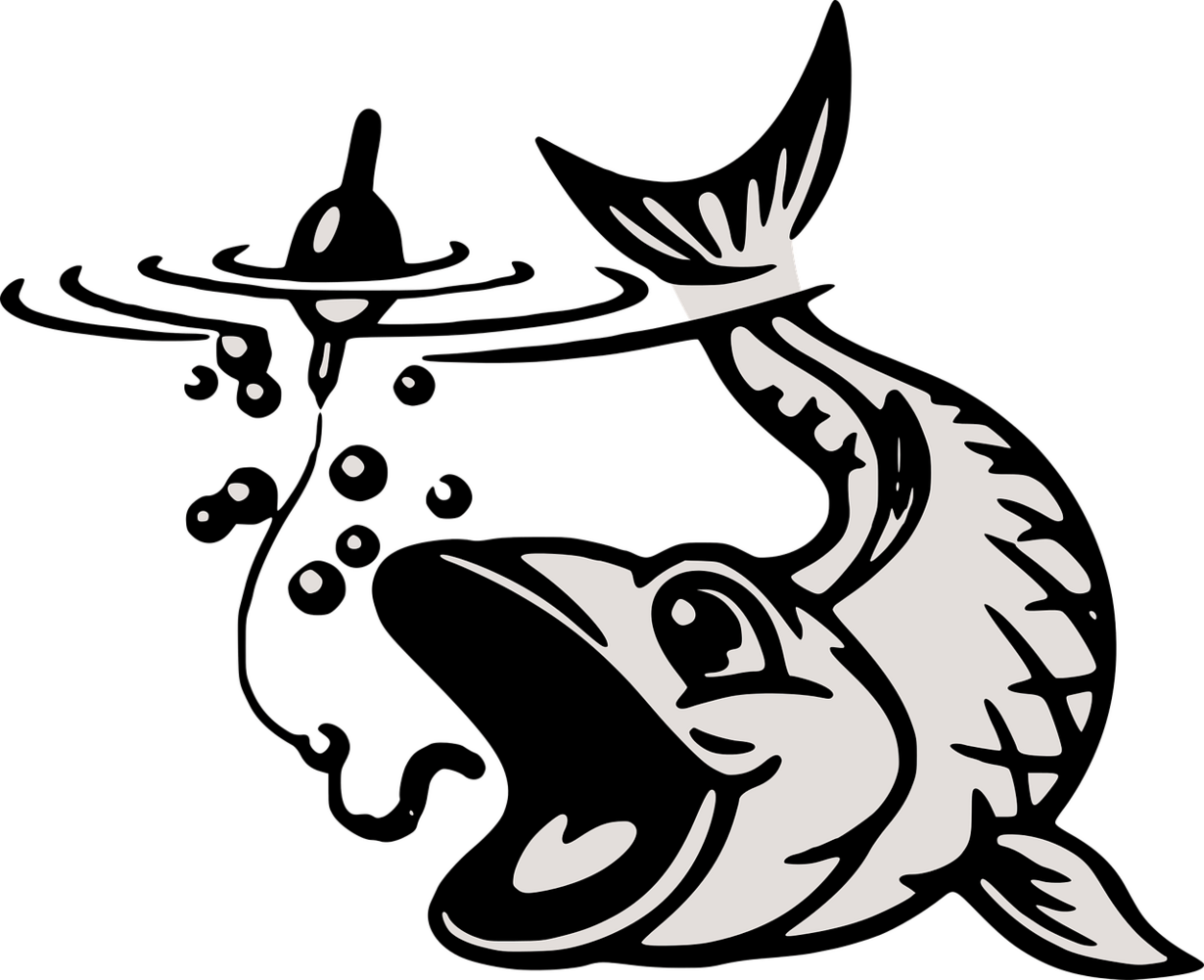concours de peche concours de peche